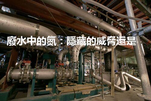 廢水中的氮：隱藏的威脅還是未來(lái)的希望？
